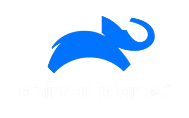 ANIMAL PLANET